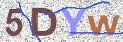 この文字を入力してください