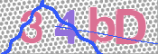 この文字を入力してください