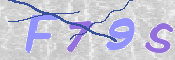 この文字を入力してください