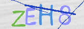 この文字を入力してください