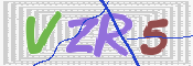 この文字を入力してください