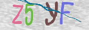 この文字を入力してください