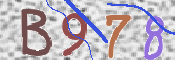 この文字を入力してください