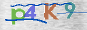 この文字を入力してください
