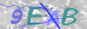 この文字を入力してください
