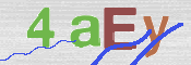 この文字を入力してください