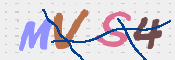 この文字を入力してください