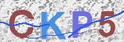 この文字を入力してください