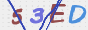 この文字を入力してください