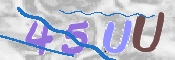 この文字を入力してください