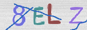この文字を入力してください