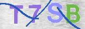 この文字を入力してください
