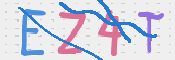 この文字を入力してください
