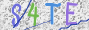 この文字を入力してください