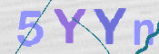 この文字を入力してください