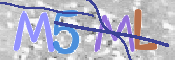 この文字を入力してください