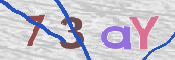 この文字を入力してください