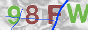 この文字を入力してください