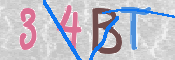 この文字を入力してください