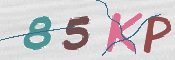 この文字を入力してください