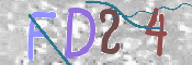 この文字を入力してください