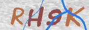 この文字を入力してください
