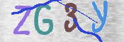この文字を入力してください