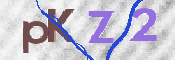 この文字を入力してください