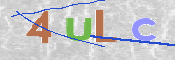 この文字を入力してください