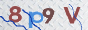 この文字を入力してください