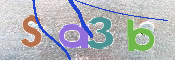 この文字を入力してください