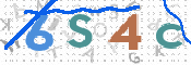 この文字を入力してください