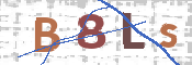 この文字を入力してください