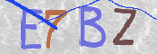 この文字を入力してください