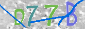 この文字を入力してください