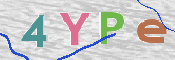 この文字を入力してください