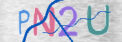 この文字を入力してください