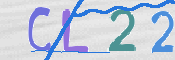 この文字を入力してください