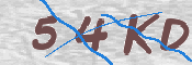 この文字を入力してください