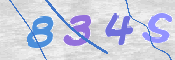 この文字を入力してください