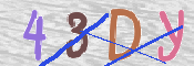 この文字を入力してください