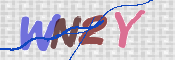 この文字を入力してください