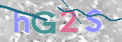 この文字を入力してください