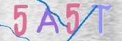 この文字を入力してください