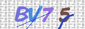 この文字を入力してください