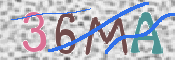 この文字を入力してください
