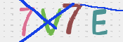 この文字を入力してください