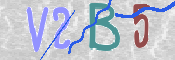 この文字を入力してください