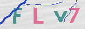 この文字を入力してください