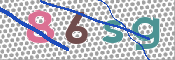 この文字を入力してください